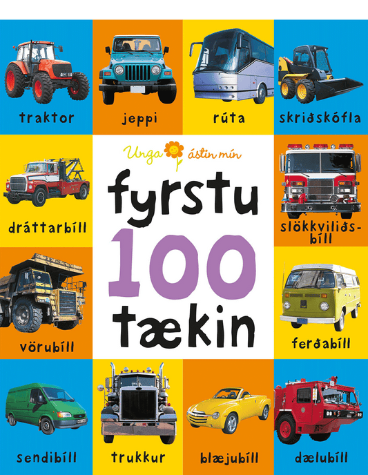 Fyrstu 100 tækin - lítil