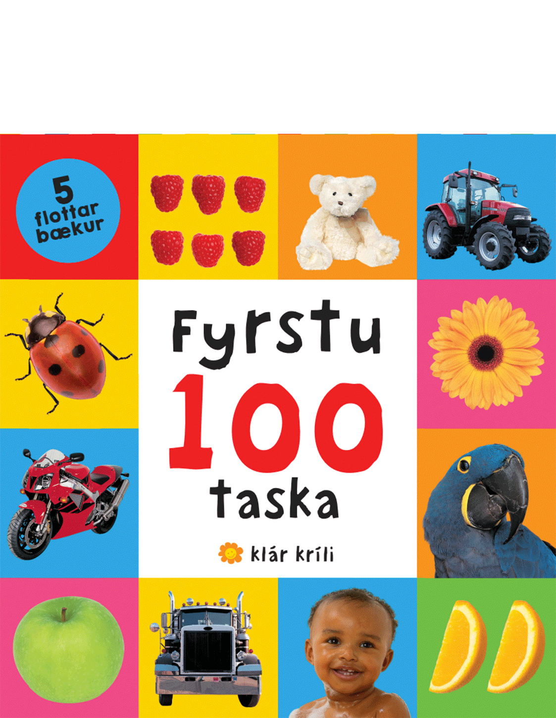Fyrstu 100 taska