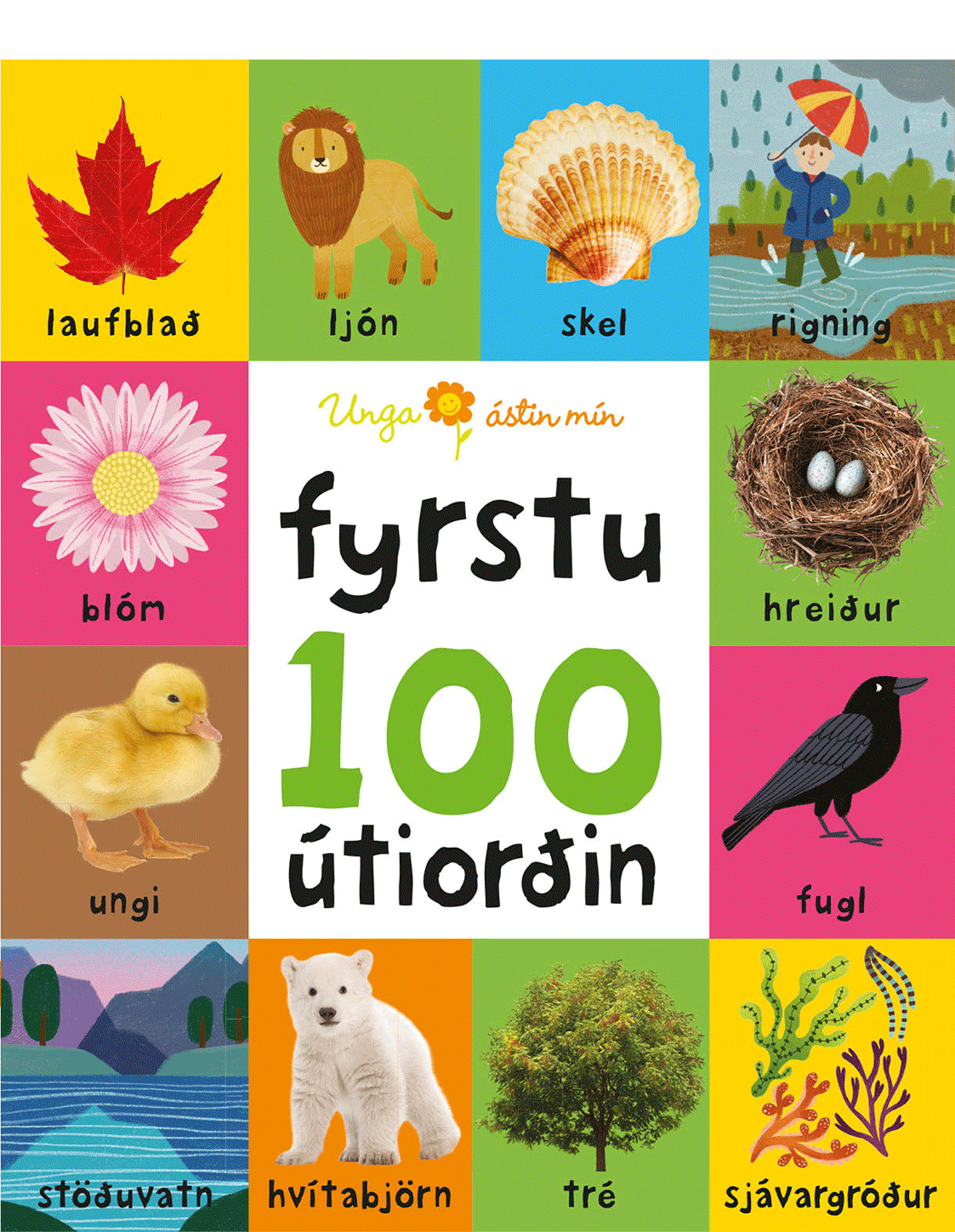 Fyrstu 100 útiorðin - lítil