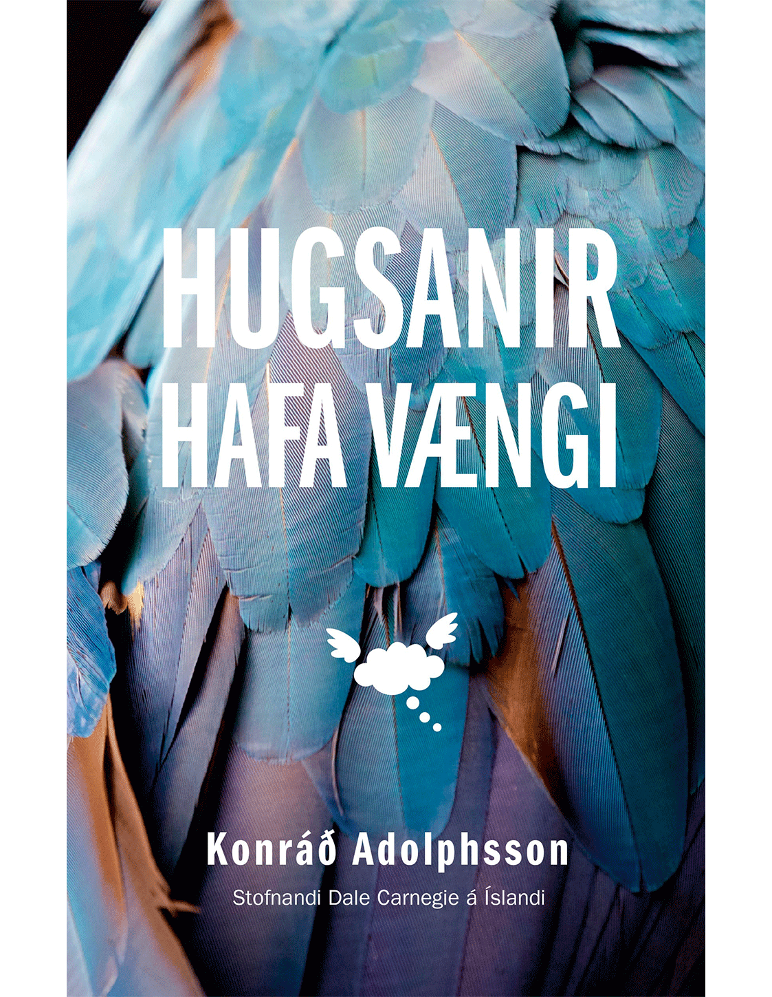 Hugsanir hafa vængi