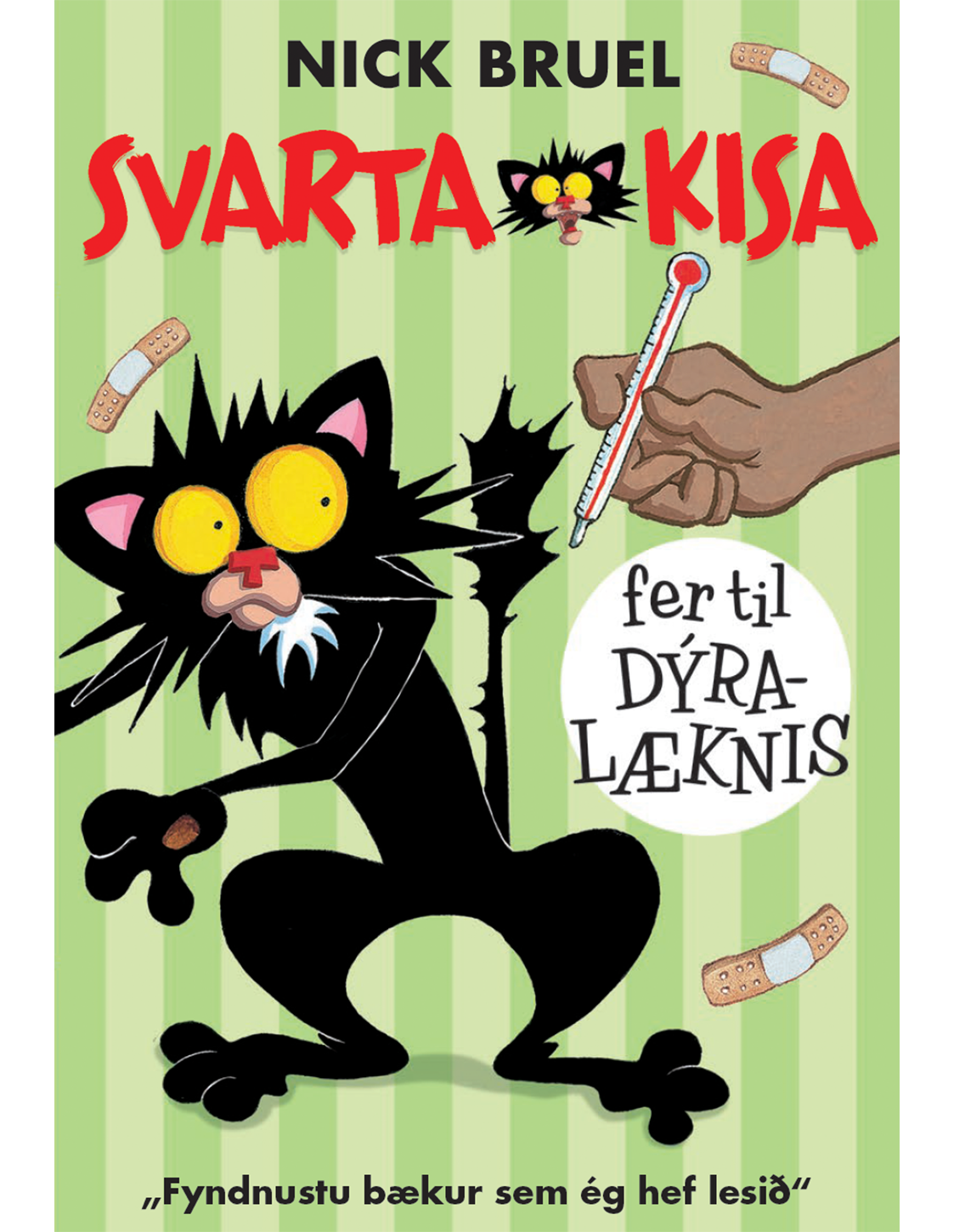 Svarta kisa fer til dýralæknis