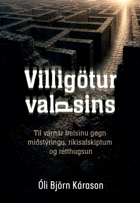 Villigötur valdsins