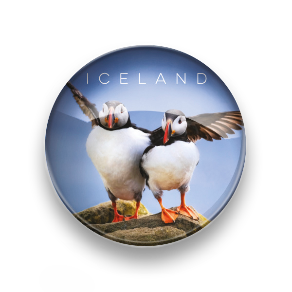 Glersegull Dansandi lundi hringlóttur 5*5