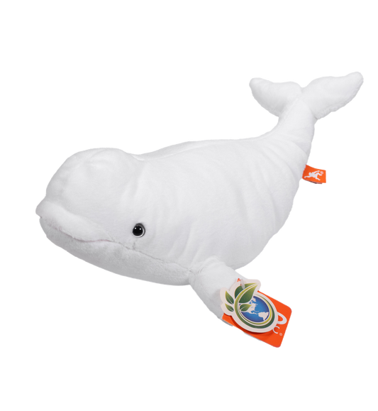 Mjaldur hvítur stór
